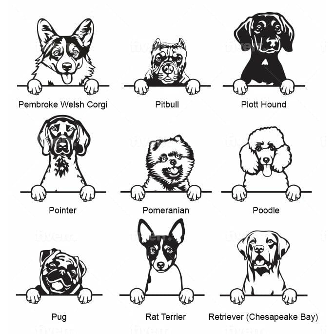 Choices of dog breeds for your ornaments.